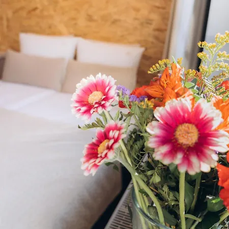 Fregata * Ούστκα